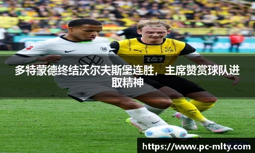 多特蒙德终结沃尔夫斯堡连胜，主席赞赏球队进取精神