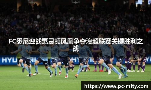 FC悉尼迎战惠灵顿凤凰争夺澳超联赛关键胜利之战